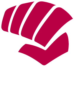 FFK WUSHU